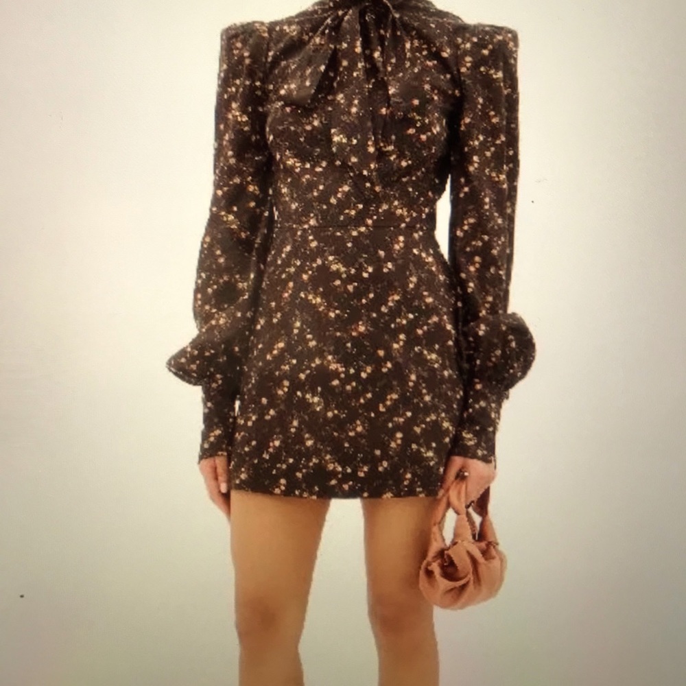 The Vampires Wife Pussy Bow Dress
